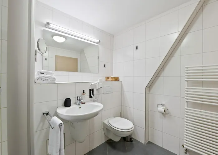 Steiners Airport-messe 3* Στουτγκάρδη