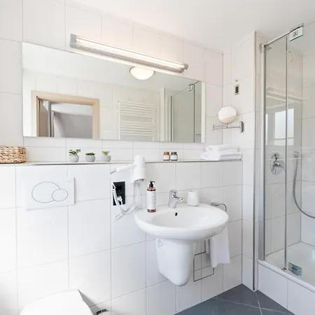 Steiners Airport-messe 3* 슈투트가르트